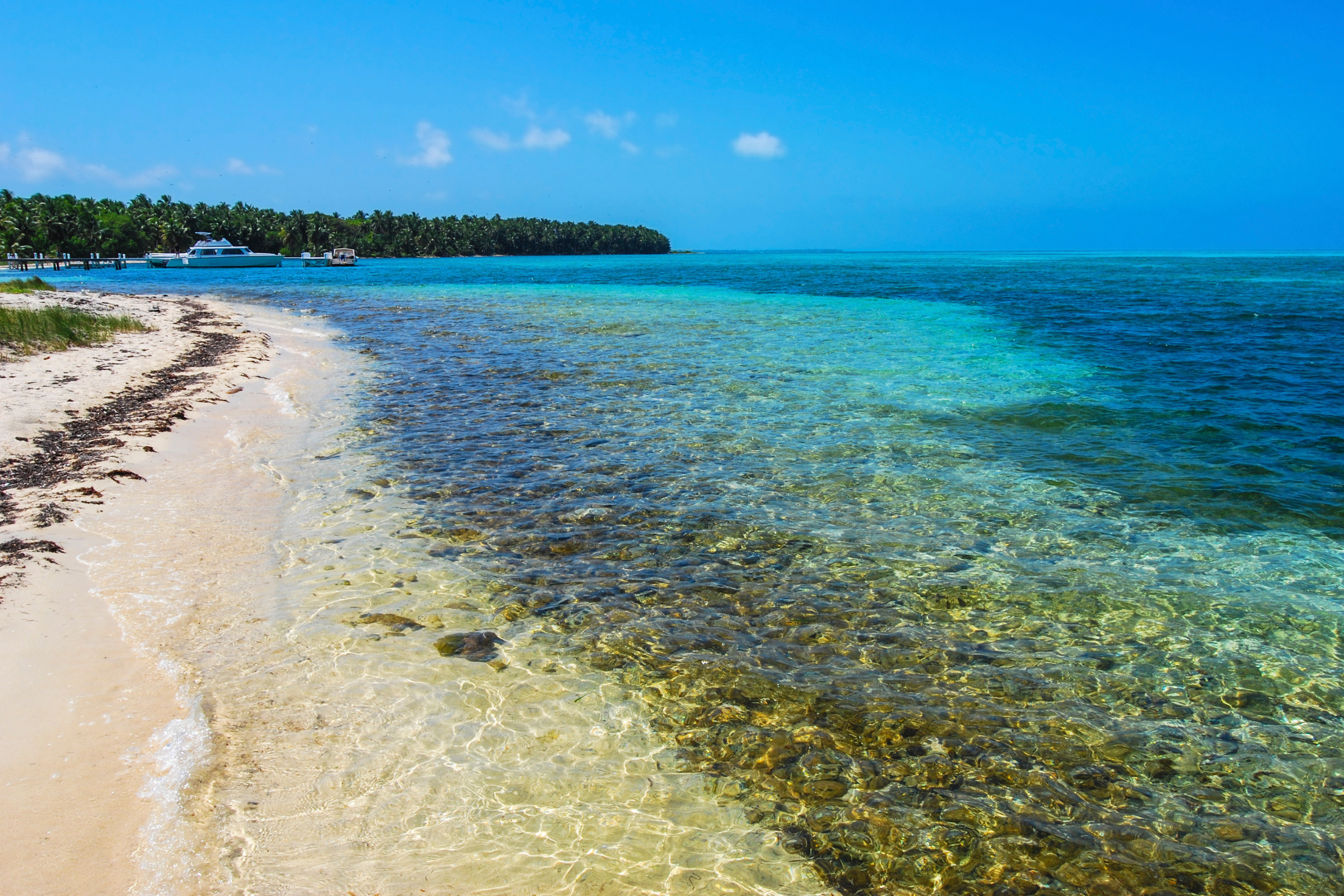 half moon caye (4).webp